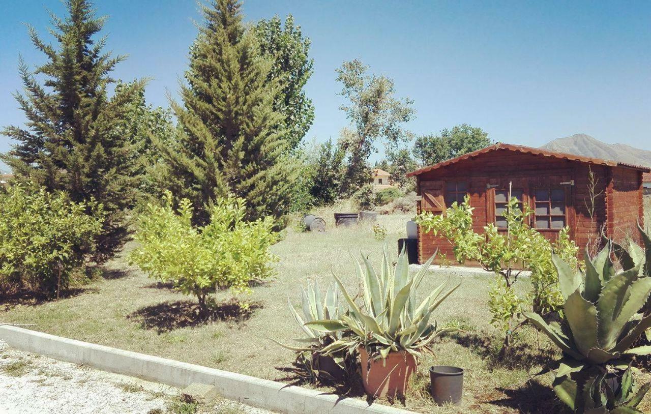 Bed and Breakfast Nenna Country Capua Exterior foto